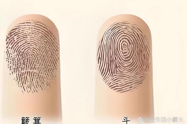 老人说-“十指无斗全簸箕,此生有财无处去”,数数你手上有几个 老人说-“十指无斗全簸箕,此生有财无处去”,数数你手上有几个