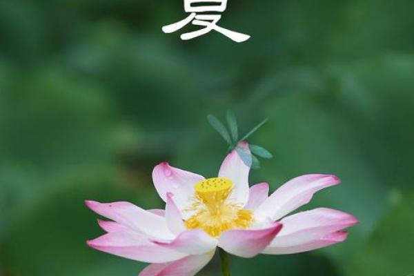 生在立夏后八字, 财运兴旺逢凶化吉 生在立夏后八字, 财运兴旺逢凶化吉