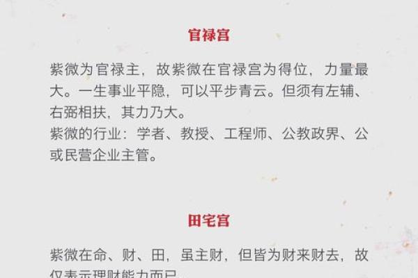 军师府紫薇斗数高级 军师府紫薇斗数高级