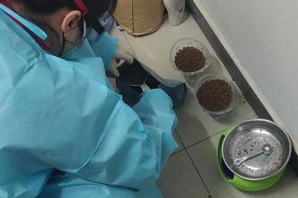 涿州算命袁老太太电话 涿州算命袁老太太电话