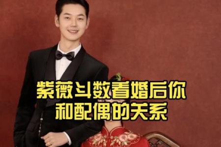 紫薇斗数怎么看夫妻婚后感情