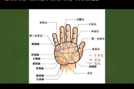凯帝阿手相算命图解大全04