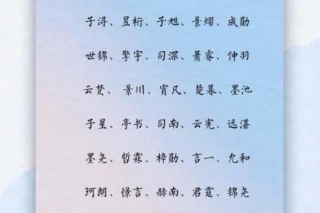 2019年6月30号子时出生的男孩起名方法姓名