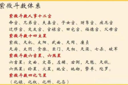 紫微斗数之各星曜所主行业：测本人能否选举上？