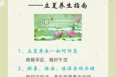 生在立夏后八字， 财运兴旺逢凶化吉