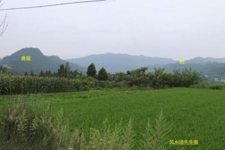 王健林祖坟风水图解