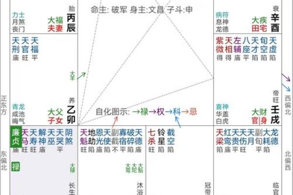 紫薇斗数如看今年流年 紫薇斗数如看今年流年