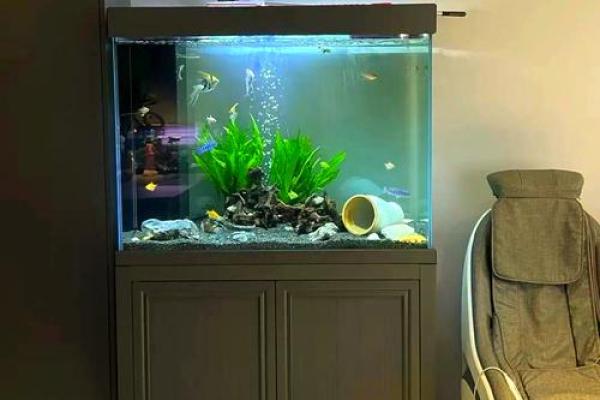 茶几鱼缸的风水