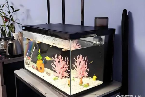 茶几鱼缸的风水