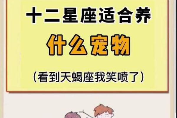 12星座比较适合养哪种动物 12星座比较适合养哪种动物