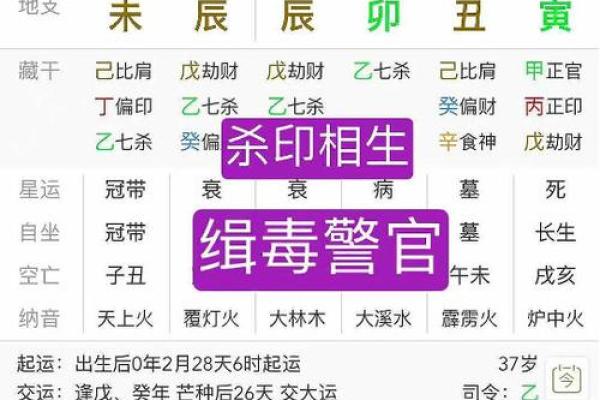 自刑的八字 自刑的八字