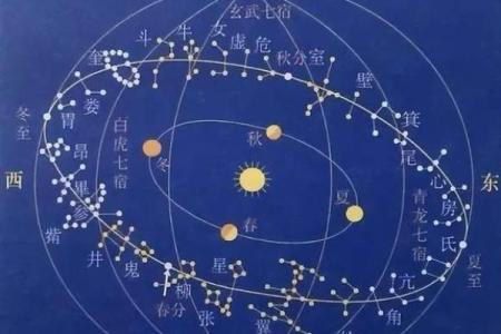 紫薇星贪狼星在福德宫