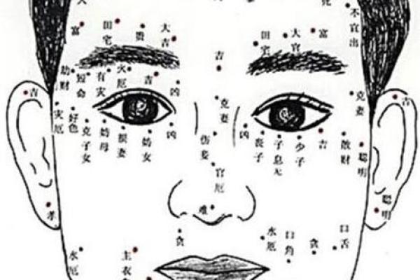 脸上黑痣算命图解吉凶 脸上黑痣算命图解吉凶