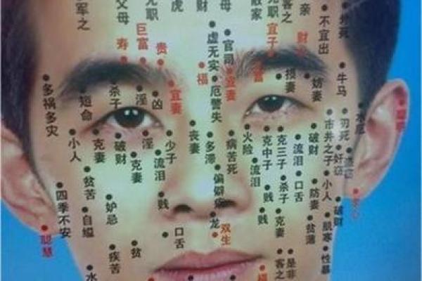 脸上黑痣算命图解吉凶 脸上黑痣算命图解吉凶