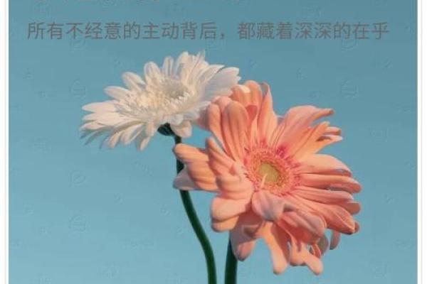 神准测试--现在这段感情中,谁付出的爱更多一些? 神准测试--现在这段感情中,谁付出的爱更多一些?