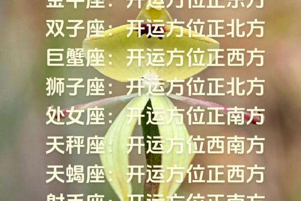 12星座运势从哪里来的