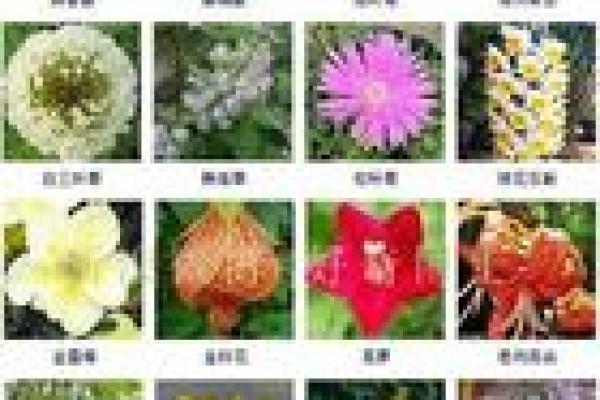 施姓男孩名字大全-施姓男孩起名字大全-施姓名字大全姓名 施姓男孩名字大全-施姓男孩起名字大全-施姓名字大全姓名