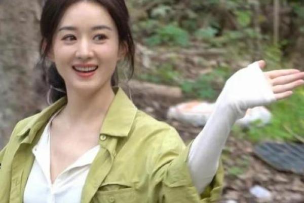 赵丽颖紫薇斗数 赵丽颖紫薇斗数