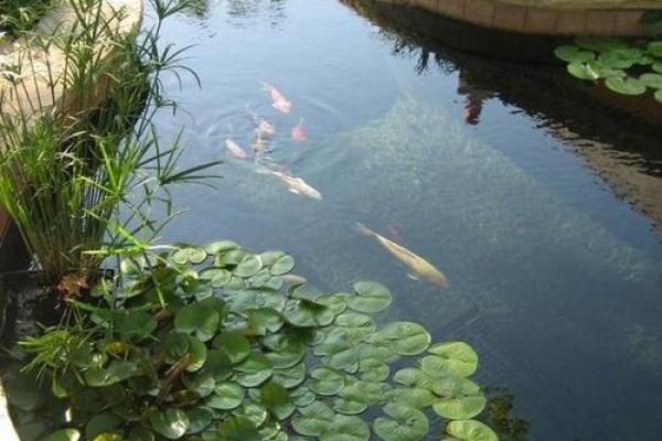 在这些情况下，风水能发挥效果