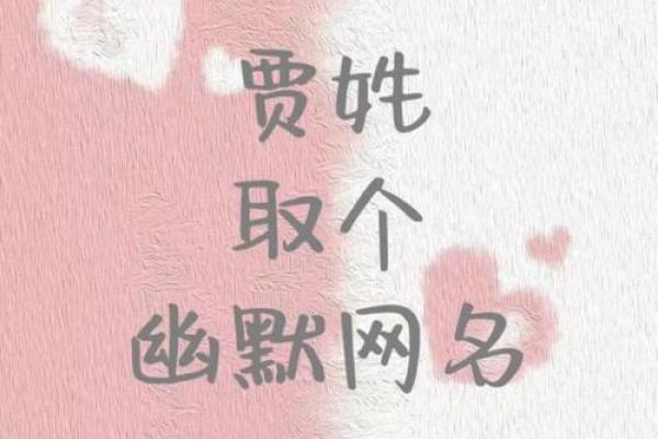 贾姓女孩名字大全-贾姓女孩起名字大全-贾姓名字大全姓名 贾姓女孩名字大全-贾姓女孩起名字大全-贾姓名字大全姓名