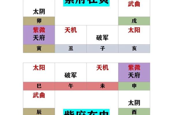 紫薇斗数入门梅花 紫薇斗数入门梅花