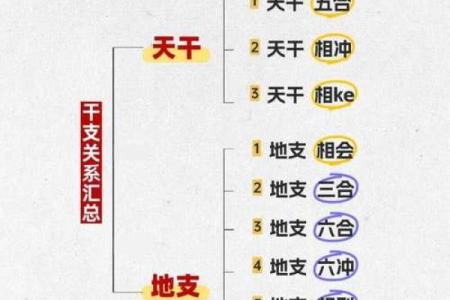 嗡爷八字教程6 天干地支的作用关系