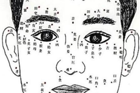 脸上黑痣算命图解吉凶