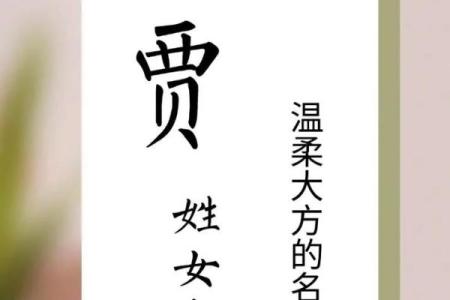 贾姓女孩名字大全-贾姓女孩起名字大全-贾姓名字大全姓名