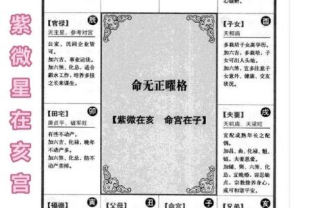 紫薇斗数入内局