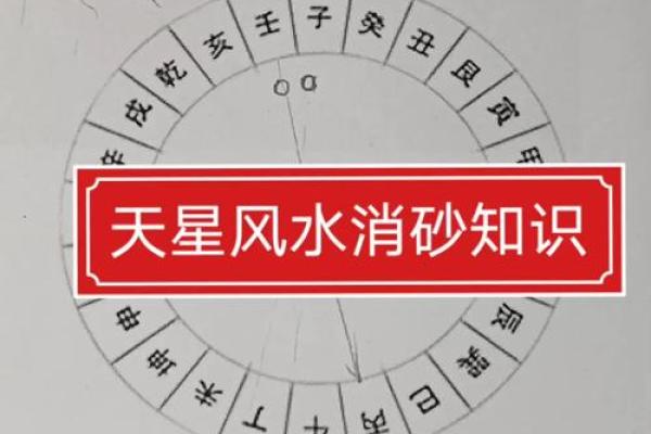 天星风水张子成风水