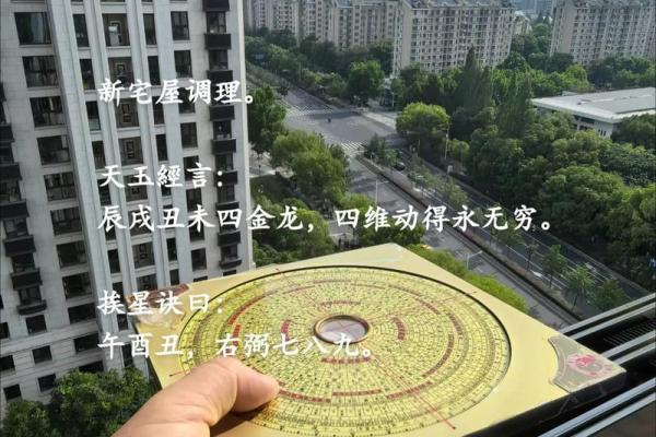 天星风水张子成风水