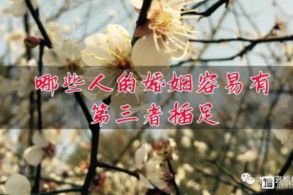 被第三者插足的八字 第三者插足影响姻缘吗 被第三者插足的八字 第三者插足影响姻缘吗