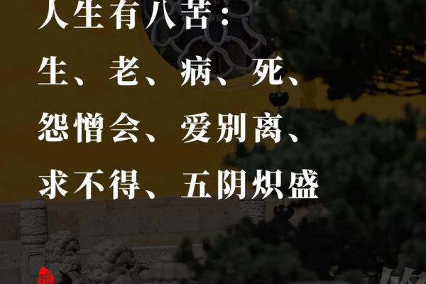八字人生