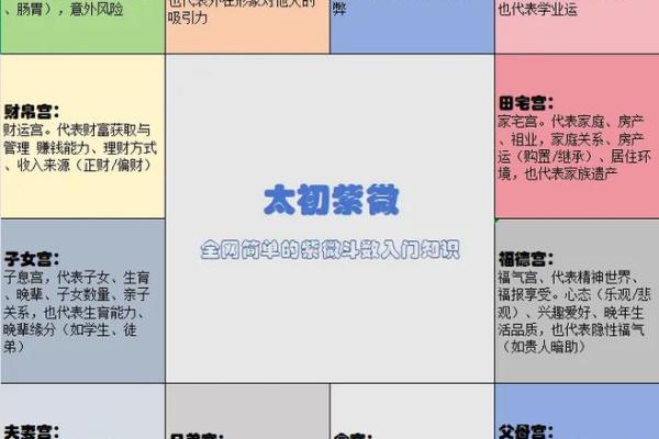 紫薇斗数看品行