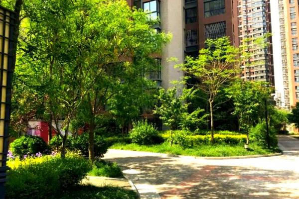 双星风水更好的房子