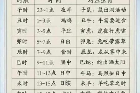 八字十二地支详解