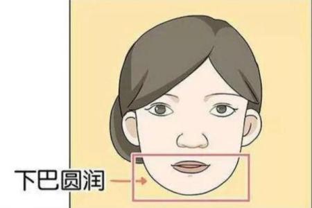 算命命中有几个子女 子女运跟下巴饱满有关