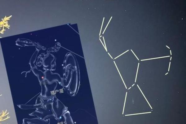 冥王星星座决定人的什么