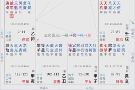 紫微斗数案例42健康：能活到90多岁的命盘