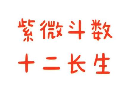 生男女紫薇斗数