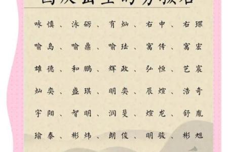 2019年6月16号寅时出生的男孩起名方法姓名