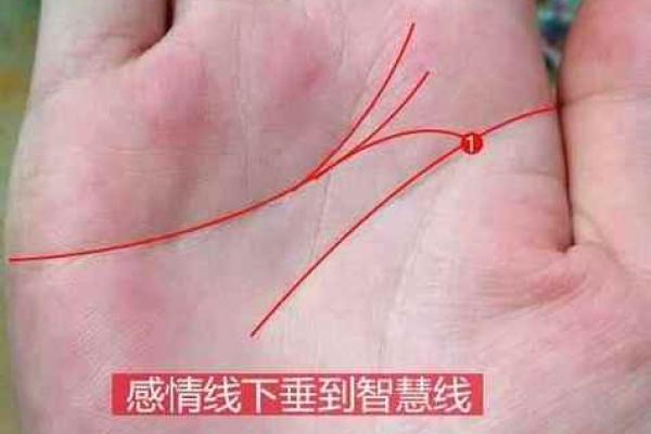 出轨女人的八字标志有哪些