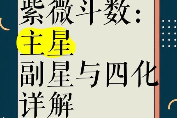 紫微斗数体系框架（零基础入门）