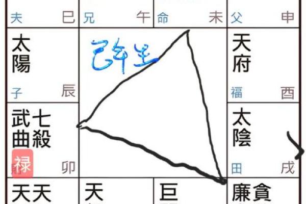 紫薇斗数官禄宫凤阁