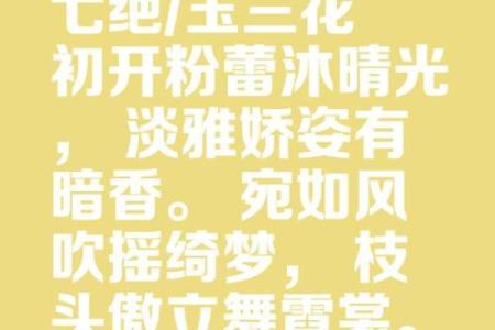 倾国倾城的八字 何为倾国倾城的八字