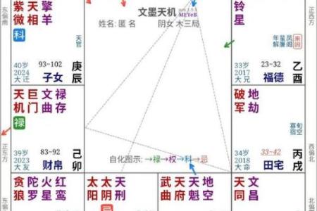 紫微斗数之夫妻宫与诸星,太阳星在夫妻宫是什么意思？