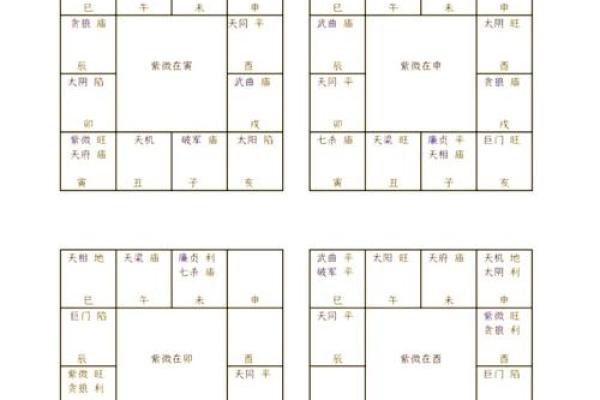 紫薇斗数业力星养坨