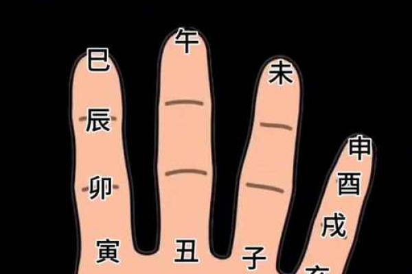 算命的兄弟是什么