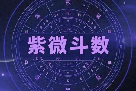 紫薇斗数看谁漂亮