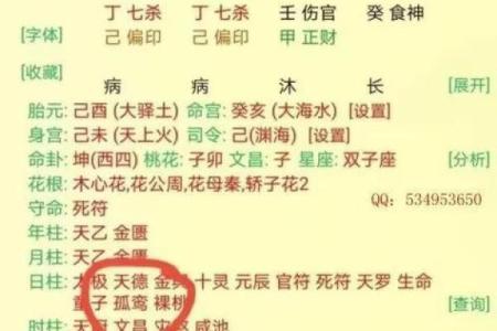 八字日柱壬子的命理详批